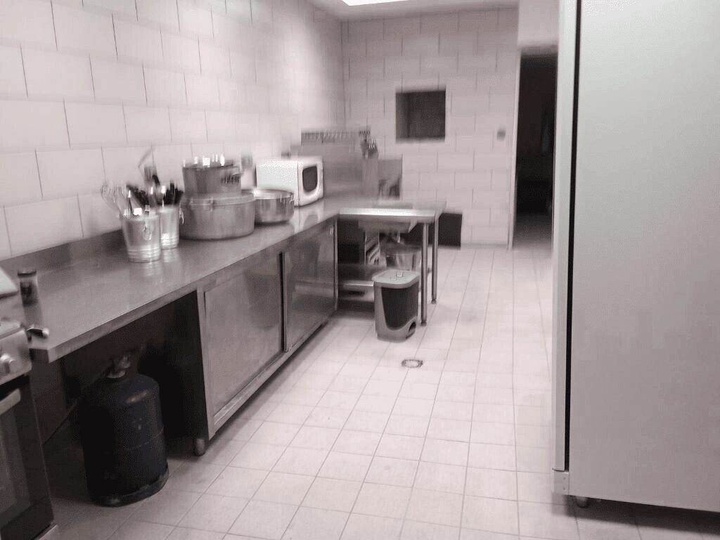 Cuisine professionnelle