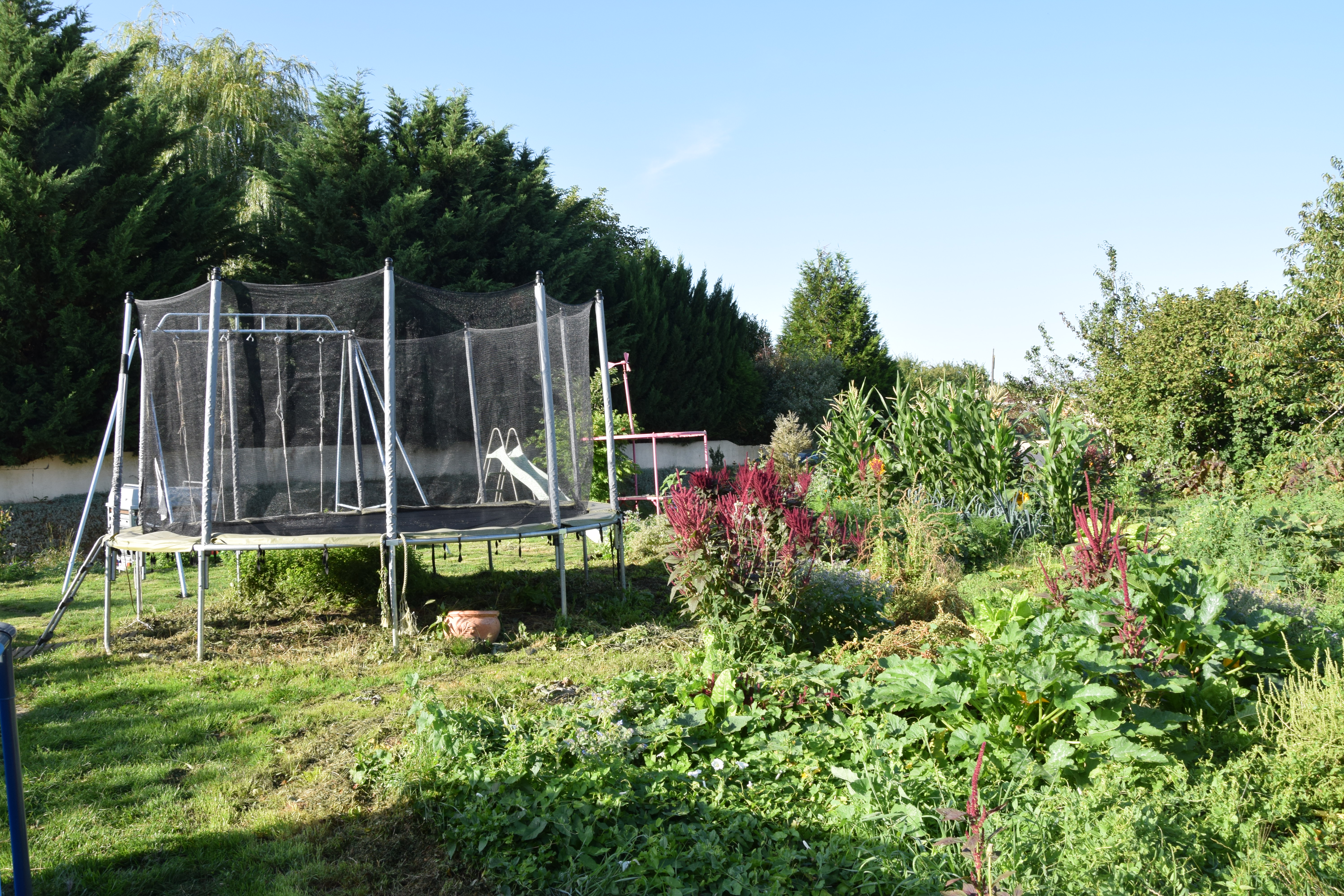 Garden with large trampoline